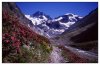1/alpes septembre 09.jpg2 (Small).jpg